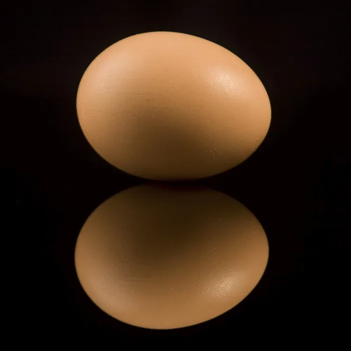 Impression encadrée : Egg