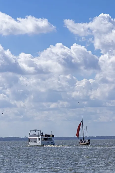 Impression encadrée : Bateau d'excursion, Zeesboot, Wustrow.