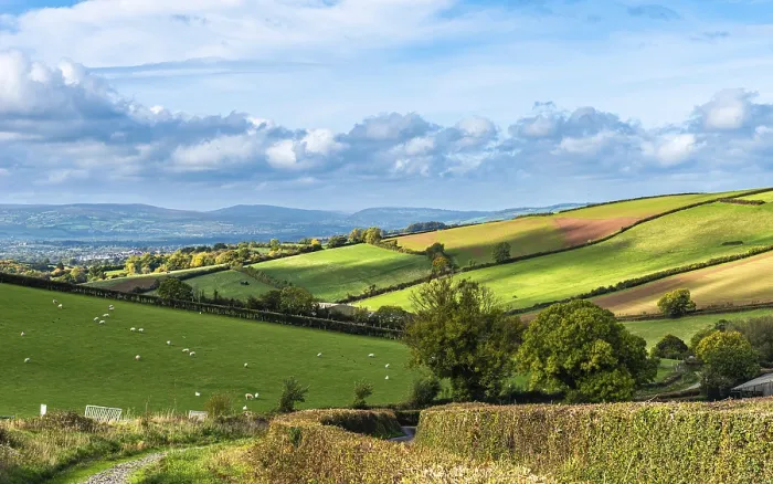 Impression encadrée : Champs et fermes vus d'un drone, Devon.