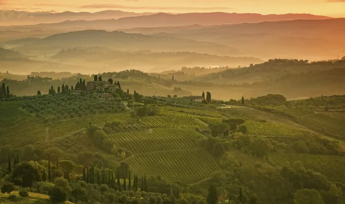 Impression encadrée : Champs en Toscane.