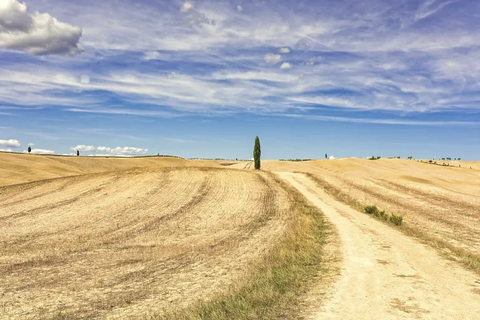 Impression encadrée : Les champs de Toscane.
