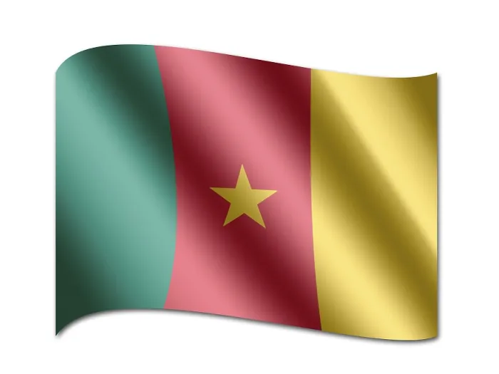 Impression encadrée : Drapeau du Cameroun Impression encadrée : Drapeau du Cameroun