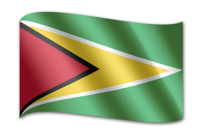 Impression encadrée : Drapeau de la Guyane