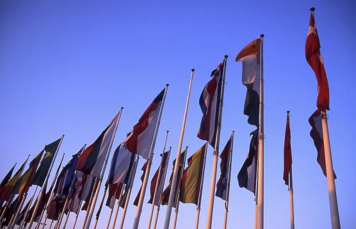Impression encadrée : Flags Impression encadrée : Flags