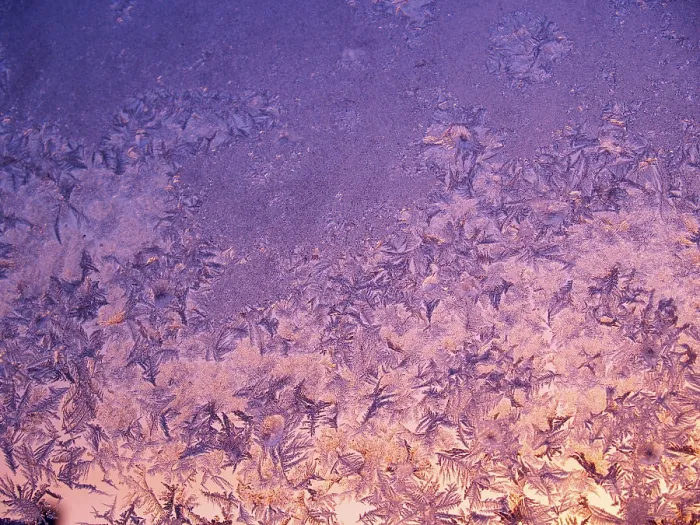 Impression encadrée : Formations de givre. Impression encadrée : Formations de givre.