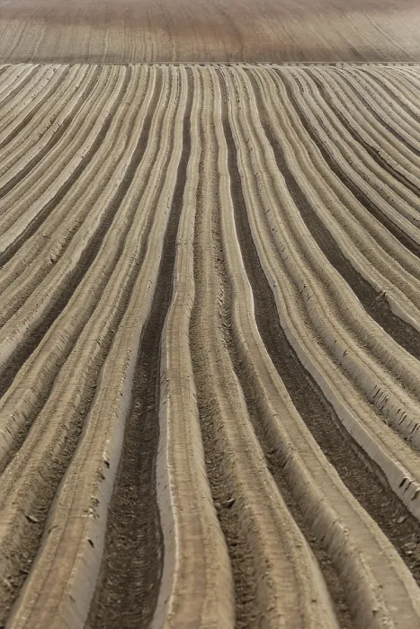 Impression encadrée : Furrows Impression encadrée : Furrows