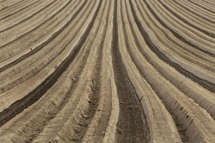 Impression encadrée : Furrows Impression encadrée : Furrows