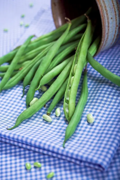 Impression encadrée : Les haricots verts sur une table. Impression encadrée : Les haricots verts sur une table.