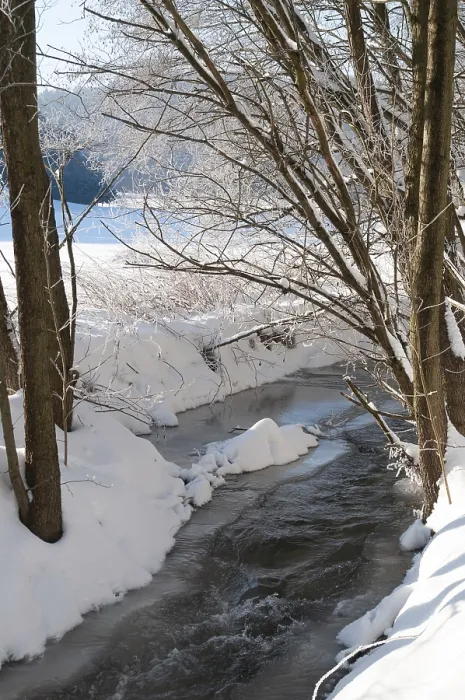 Impression encadrée : Greiz, Thuringe, Triebitzbach