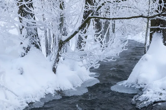 Impression encadrée : Greiz, Thuringe, Triebitzbach