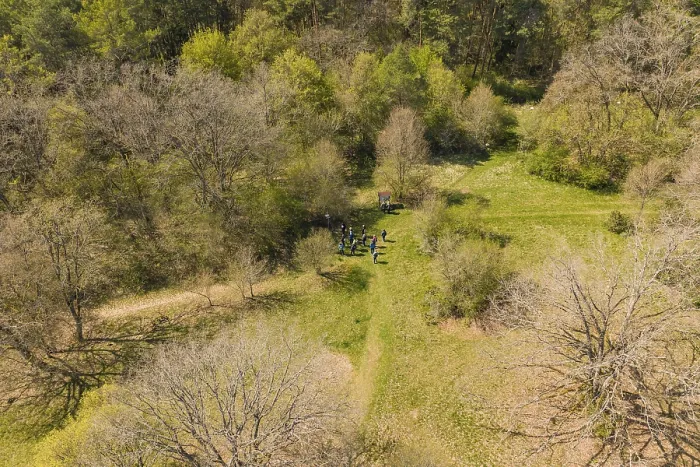 Impression encadrée : Groupe de personnes dans la forêt, entourées par des arbres et des herbes. Impression encadrée : Groupe de personnes dans la forêt, entourées par des arbres et des herbes.