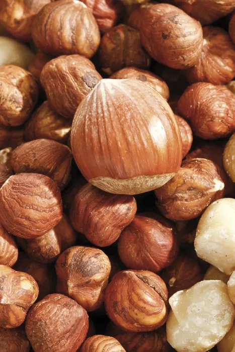 Impression encadrée : Noix de hazelnut, format plein.