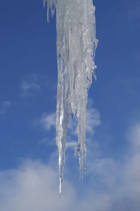 Impression encadrée : Icicles Impression encadrée : Icicles
