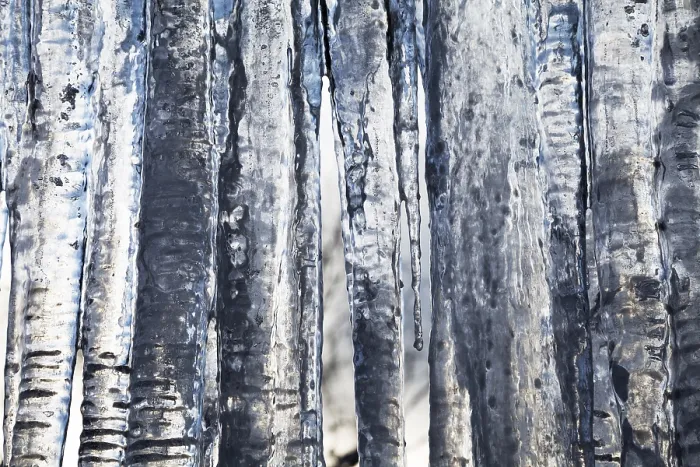 Impression encadrée : Icicles
