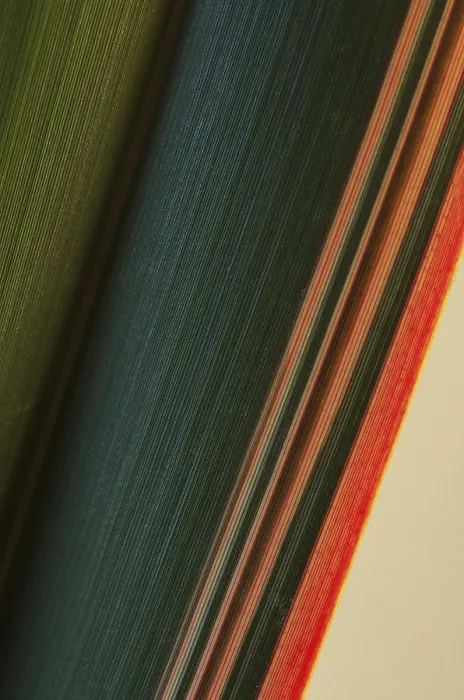 Impression encadrée : Feuille, couleur, structures.