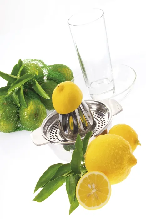 Impression encadrée : Lemons