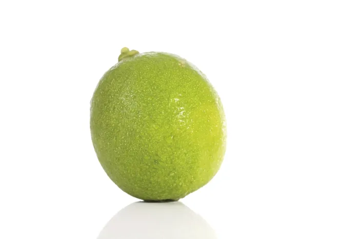 Impression encadrée : Lime Impression encadrée : Lime