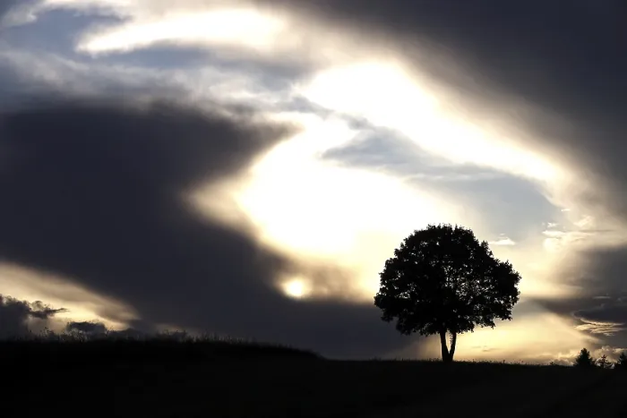 Impression encadrée : Arbre solitaire devant un ciel dramatique.