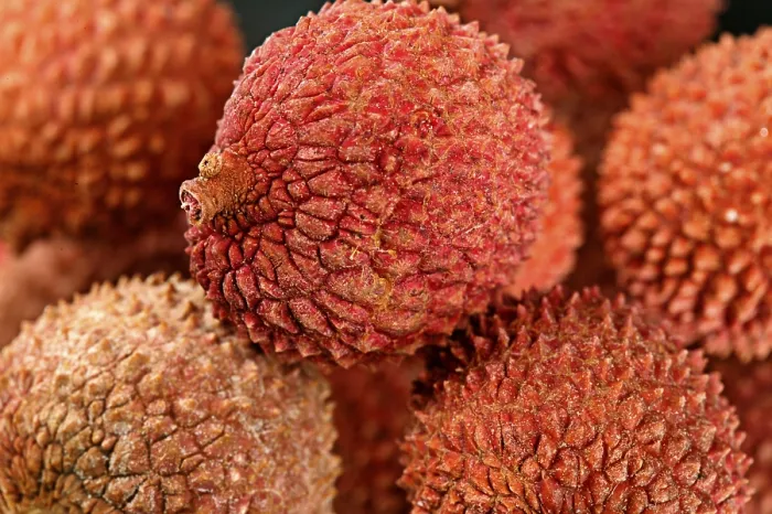 Impression encadrée : Lychee Impression encadrée : Lychee