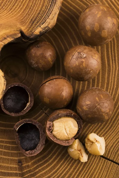 Impression encadrée : Noix de macadamia Impression encadrée : Noix de macadamia