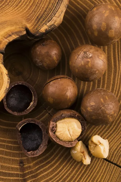 Impression encadrée : Noix de macadamia Impression encadrée : Noix de macadamia