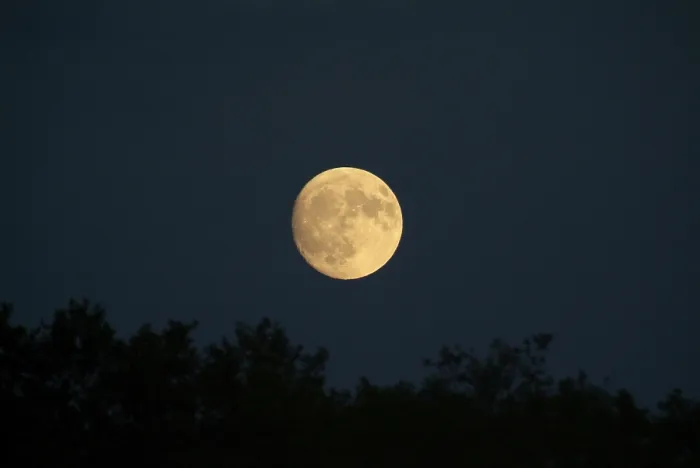 Impression encadrée : Moon