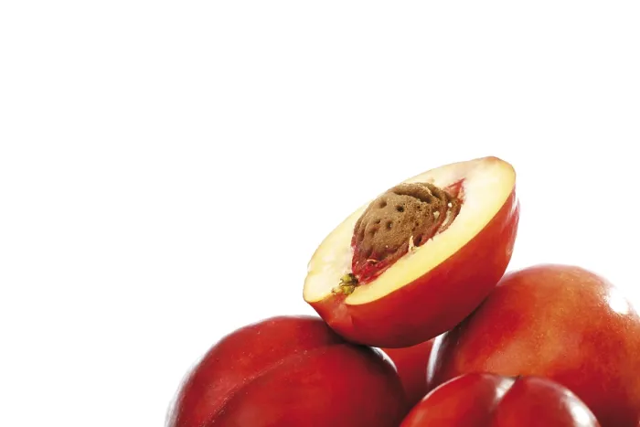Impression encadrée : Nectarines Impression encadrée : Nectarines