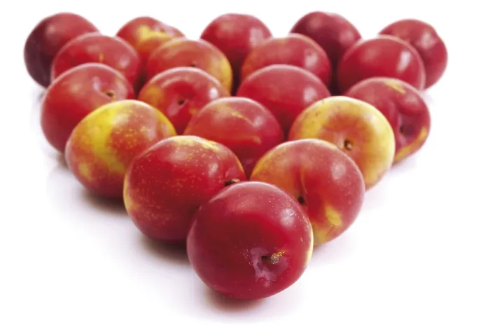Impression encadrée : Nectarines Impression encadrée : Nectarines