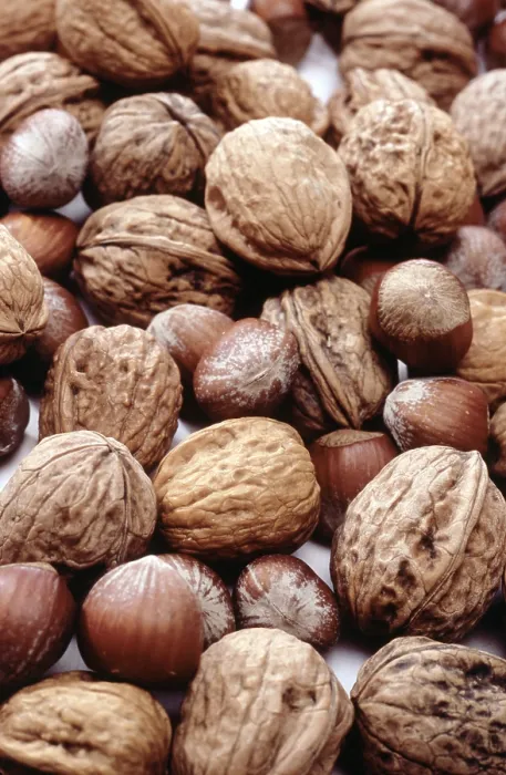 Impression encadrée : Nuts Impression encadrée : Nuts