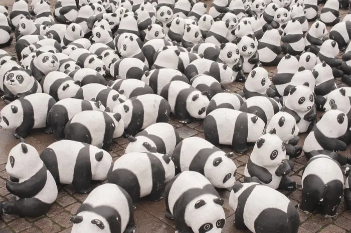 Impression encadrée : Ours panda Impression encadrée : Ours panda