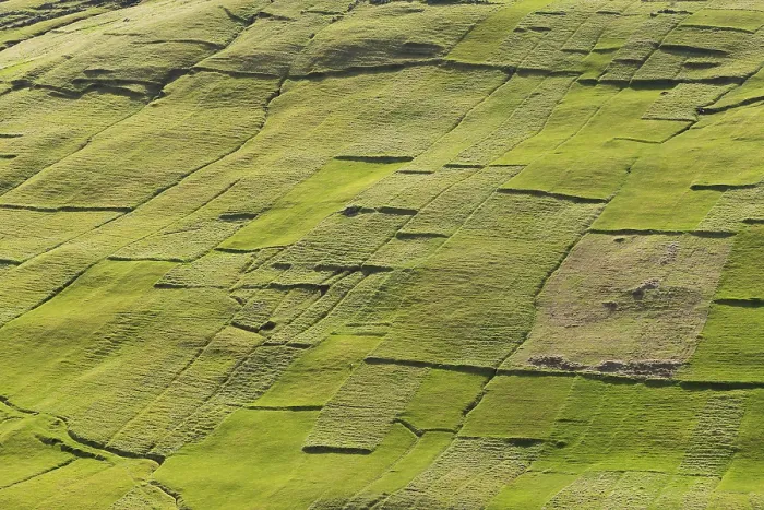 Impression encadrée : Parcelles de terre, champs, patchwork. Impression encadrée : Parcelles de terre, champs, patchwork.