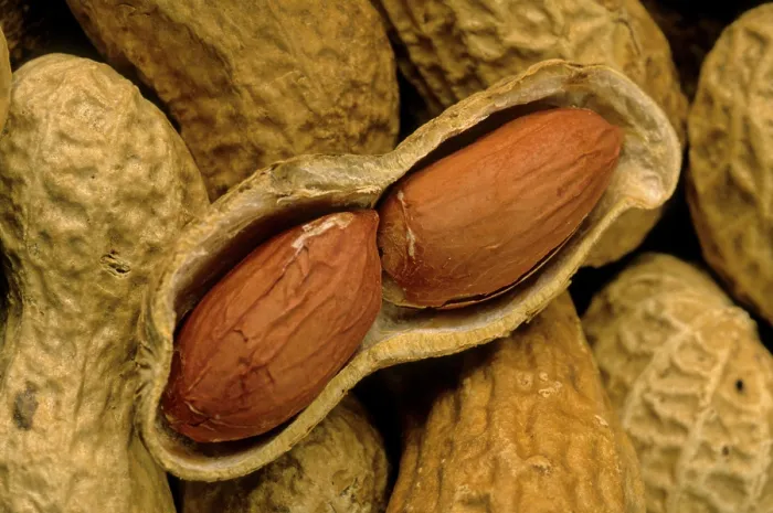 Impression encadrée : Peanut