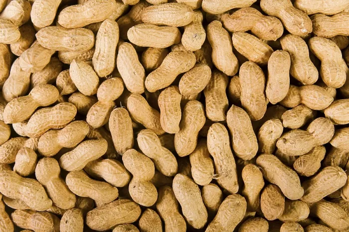 Impression encadrée : Peanuts