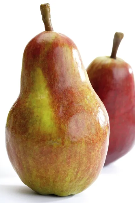 Impression encadrée : Deux poires.