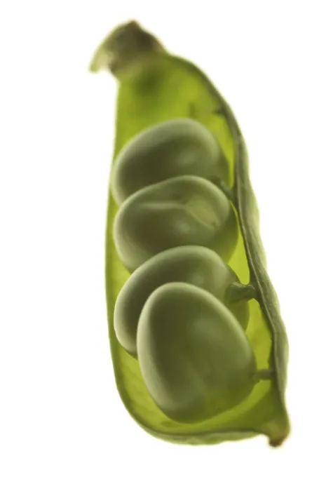 Impression encadrée : Peas Impression encadrée : Peas