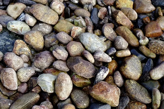 Impression encadrée : Pebbles Impression encadrée : Pebbles