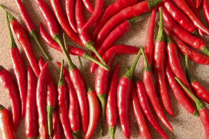 Impression encadrée : Pepper