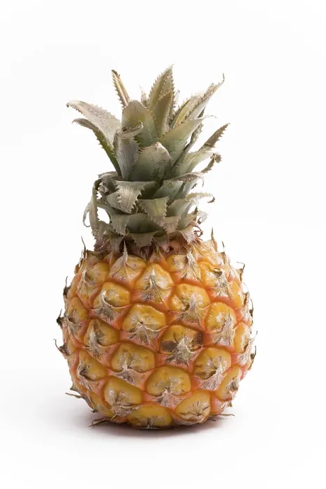 Impression encadrée : Pineapple Impression encadrée : Pineapple