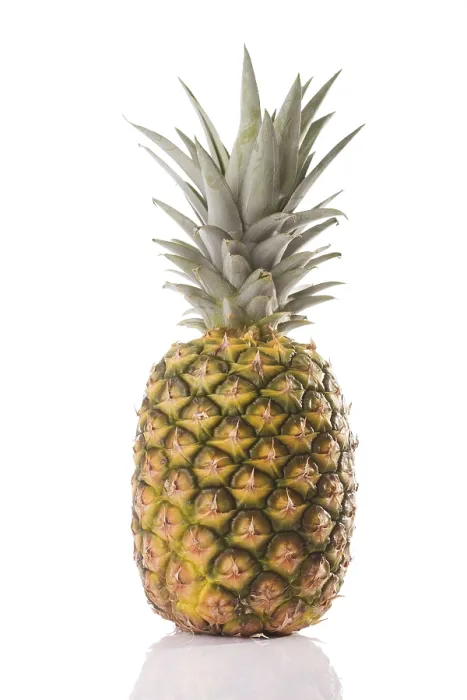 Impression encadrée : Pineapple Impression encadrée : Pineapple
