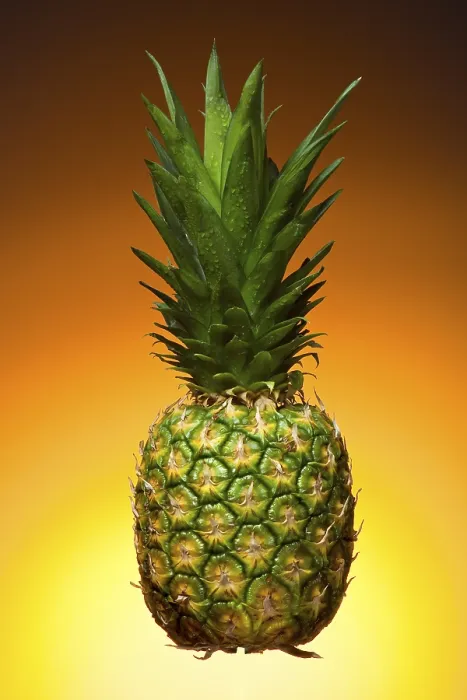 Impression encadrée : Pineapple Impression encadrée : Pineapple