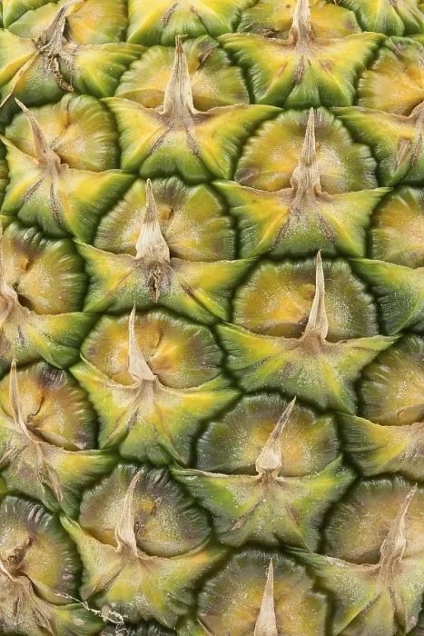 Impression encadrée : Ananas comme arrière-plan.