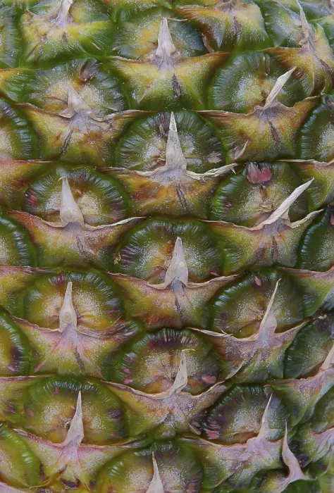 Impression encadrée : Ananas, ananas.