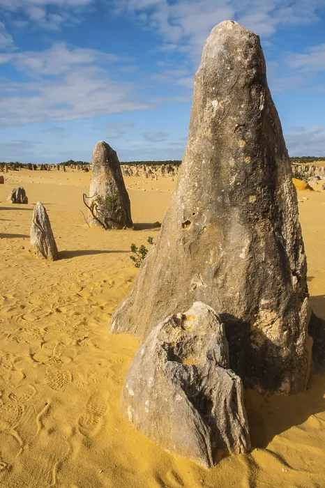 Impression encadrée : Les formations de calcaire des Pinnacles.