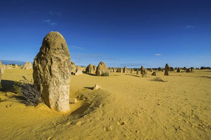 Impression encadrée : Les formations de calcaire des Pinnacles.