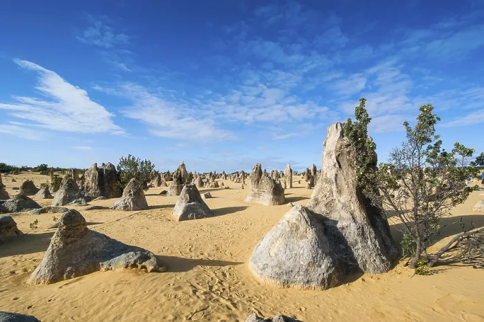 Impression encadrée : Les formations de calcaire des Pinnacles.