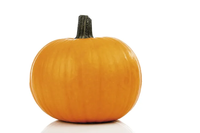 Impression encadrée : Pumpkin Impression encadrée : Pumpkin