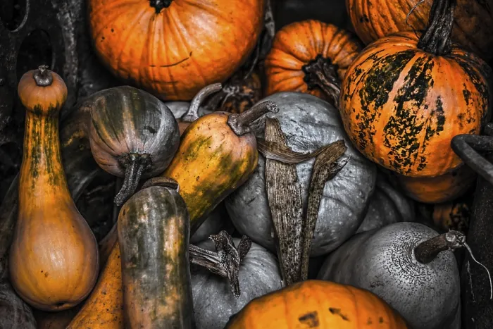 Impression encadrée : Pumpkins Impression encadrée : Pumpkins