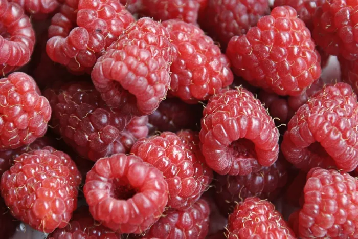 Impression encadrée : Raspberrys Impression encadrée : Raspberrys