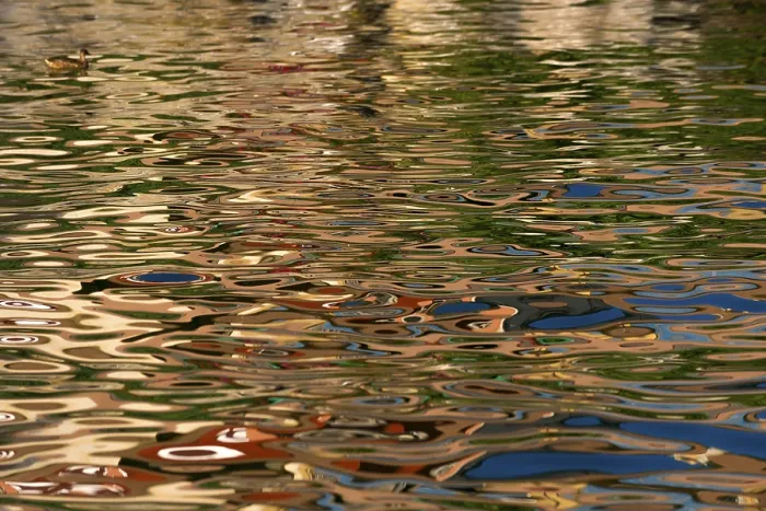 Impression encadrée : La réflexion à la surface de l'eau.