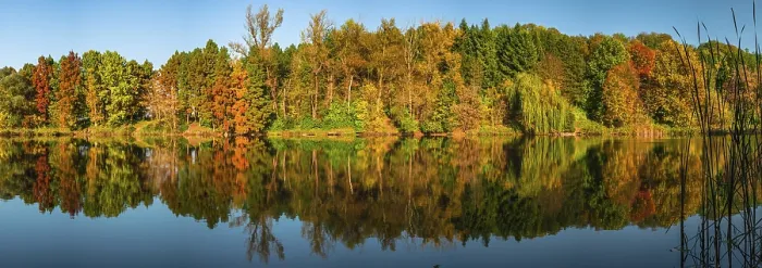 Impression encadrée : Reflexion